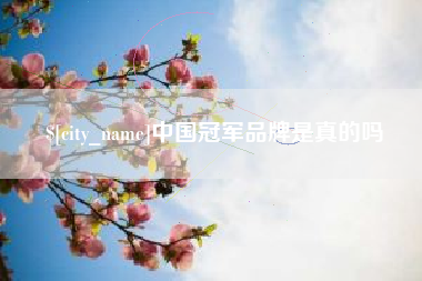 湖州中国冠军品牌是真的吗