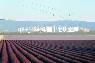 湖州中国十七块金牌