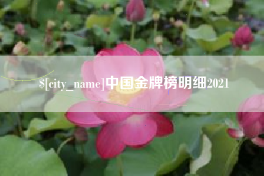 湖州中国金牌榜明细2021