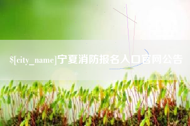 湖州宁夏消防报名入口官网公告