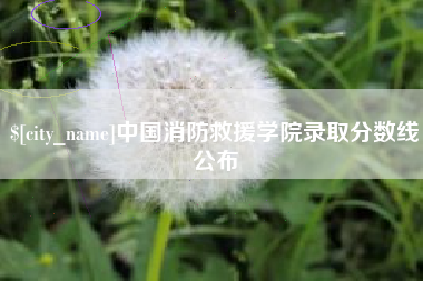 湖州中国消防救援学院录取分数线公布