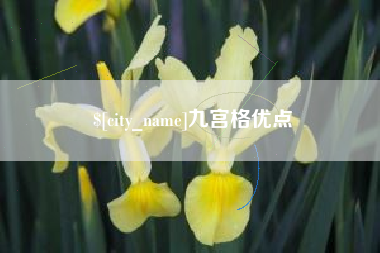 湖州九宫格优点