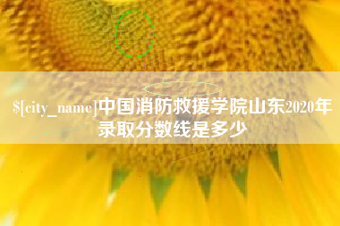 湖州中国消防救援学院山东2020年录取分数线是多少