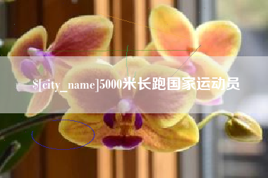 湖州5000米长跑国家运动员