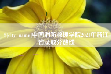 湖州中国消防救援学院2021年浙江省录取分数线