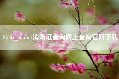 湖州消防证查询网上查询官网下载