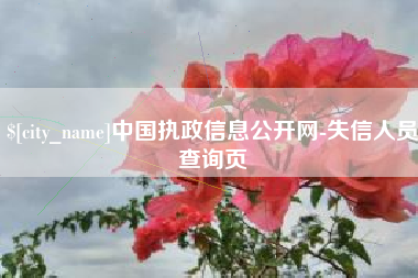 湖州中国执政信息公开网-失信人员查询页