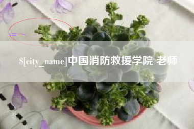 湖州中国消防救援学院 老师
