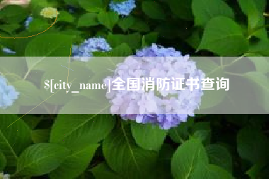 湖州全国消防证书查询