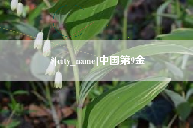 湖州中国第9金
