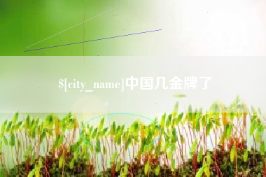 湖州中国几金牌了