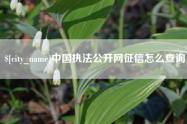 湖州中国执法公开网征信怎么查询
