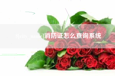 湖州消防证怎么查询系统