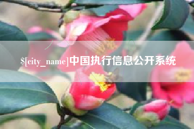 湖州中国执行信息公开系统