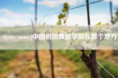 湖州中国消防救援学院在那个地方