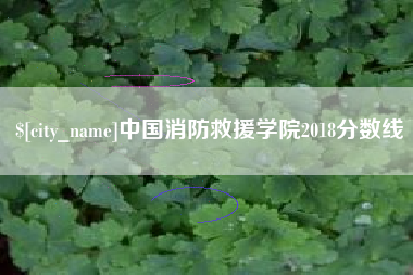 湖州中国消防救援学院2018分数线