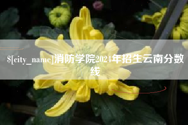 湖州消防学院2024年招生云南分数线