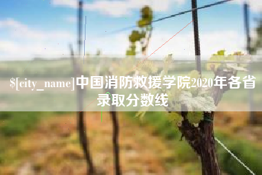 湖州中国消防救援学院2020年各省录取分数线
