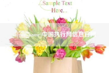 湖州中国执行网信息官网