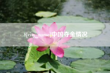 湖州中国夺金情况