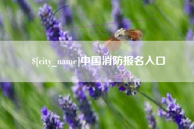 湖州中国消防报名入口