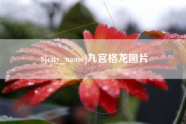 湖州九宫格龙图片