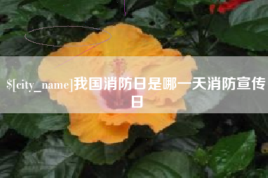 湖州我国消防日是哪一天消防宣传日