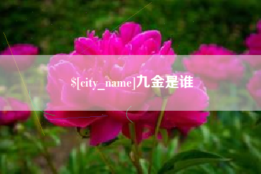 湖州九金是谁