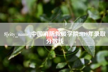 湖州中国消防救援学院2019年录取分数线