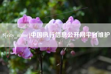 湖州中国执行信息公开网平台维护