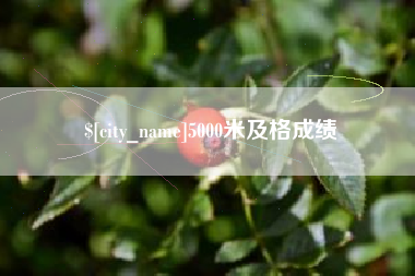 湖州5000米及格成绩
