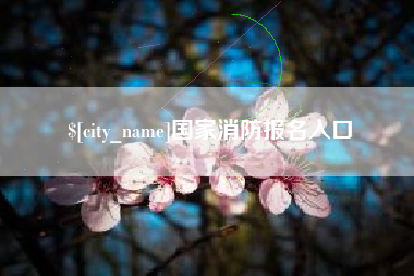 湖州国家消防报名入口
