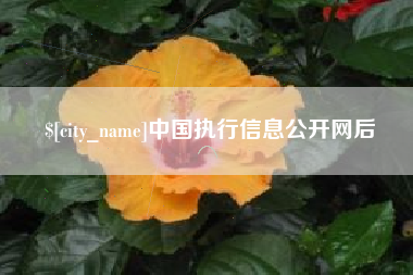 湖州中国执行信息公开网后