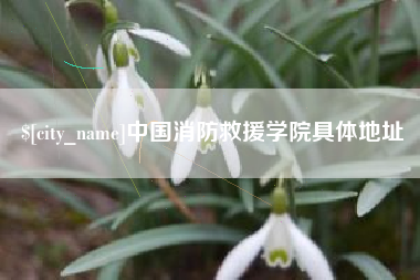 湖州中国消防救援学院具体地址