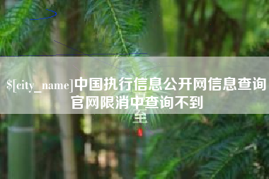 湖州中国执行信息公开网信息查询官网限消中查询不到