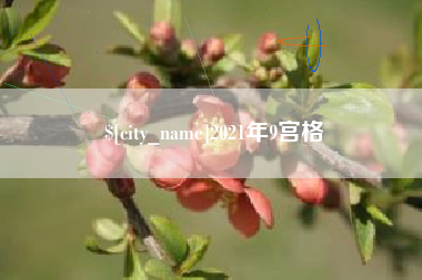 湖州2021年9宫格