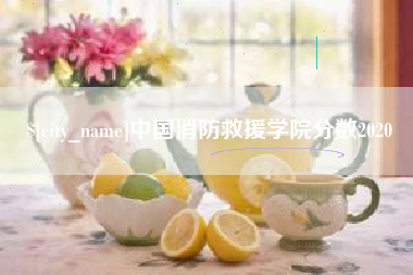 湖州中国消防救援学院分数2020
