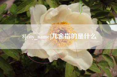 湖州九金指的是什么