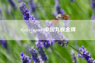 湖州中国九枚金牌