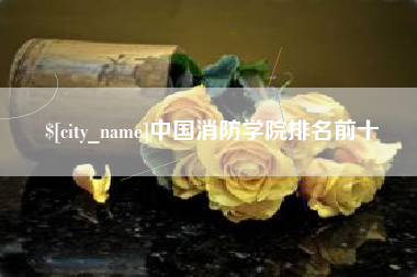 湖州中国消防学院排名前十
