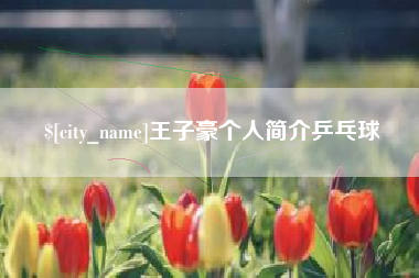 湖州王子豪个人简介乒乓球