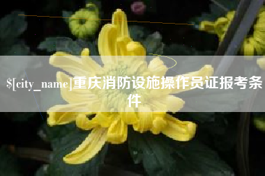 湖州重庆消防设施操作员证报考条件