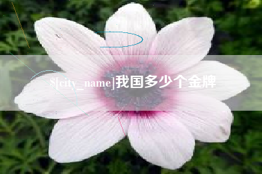湖州我国多少个金牌