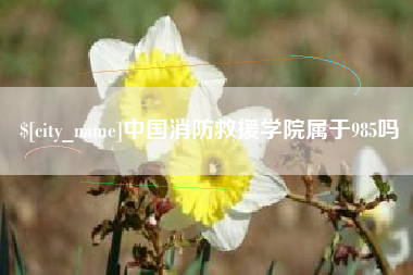 湖州中国消防救援学院属于985吗