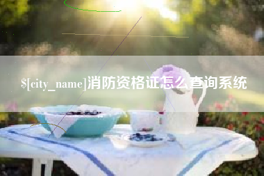 湖州消防资格证怎么查询系统