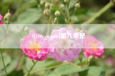湖州第九金是