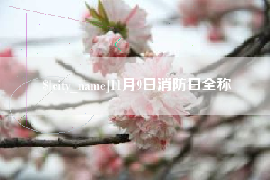 湖州11月9日消防日全称