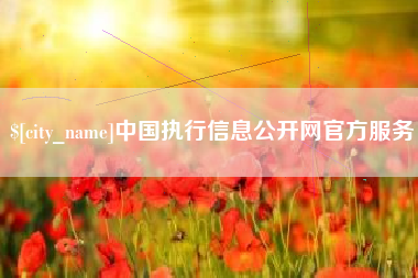 湖州中国执行信息公开网官方服务