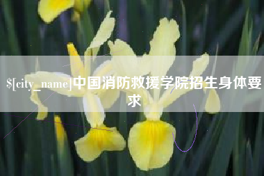 湖州中国消防救援学院招生身体要求