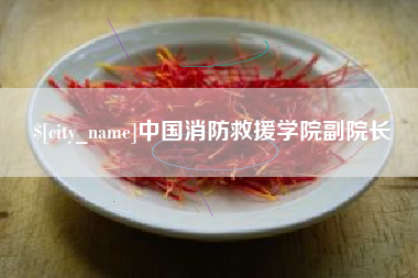 湖州中国消防救援学院副院长